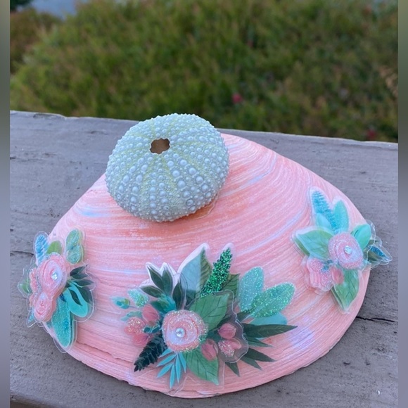 California seashells found on the beautiful coasts.Wall art and tabletop decor. - Picture 2 of 2